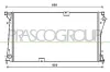 Kühler, Motorkühlung PRASCO DS952R005