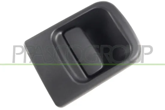 Türaußengriff hinten Fahrzeughecktür PRASCO DS9608301 Bild Türaußengriff hinten Fahrzeughecktür PRASCO DS9608301