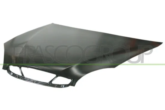 Motorhaube PRASCO DW0073100 Bild Motorhaube PRASCO DW0073100