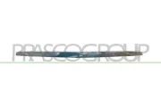 Zier-/Schutzleiste, Kühlergitter Kühlergitter oben PRASCO DW0112206
