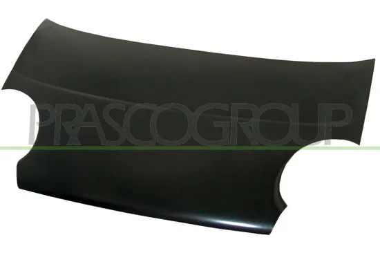 Motorhaube PRASCO DW3203100 Bild Motorhaube PRASCO DW3203100
