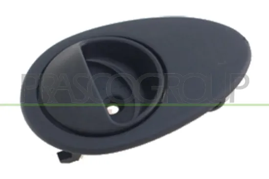 Türgriff, Innenausstattung innen hinten links vorne links PRASCO DW3208602 Bild Türgriff, Innenausstattung innen hinten links vorne links PRASCO DW3208602
