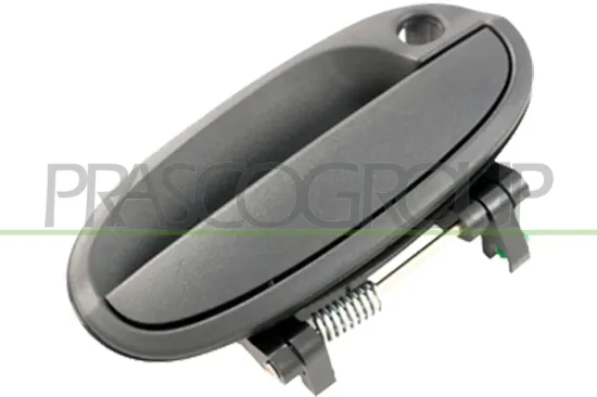 Türaußengriff außen vorne rechts PRASCO DW3248001 Bild Türaußengriff außen vorne rechts PRASCO DW3248001