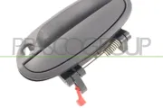 Türaußengriff vorne links PRASCO DW3248002