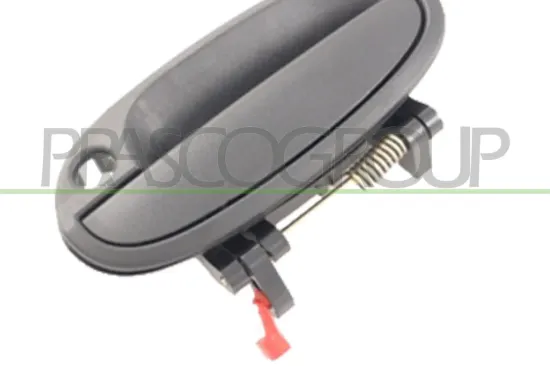 Türaußengriff vorne links PRASCO DW3248002 Bild Türaußengriff vorne links PRASCO DW3248002