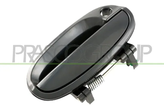 Türaußengriff außen vorne rechts PRASCO DW3248007 Bild Türaußengriff außen vorne rechts PRASCO DW3248007