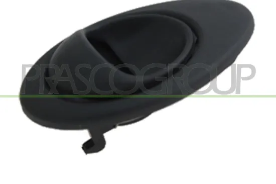 Türgriff, Innenausstattung innen hinten links vorne links PRASCO DW3248602 Bild Türgriff, Innenausstattung innen hinten links vorne links PRASCO DW3248602