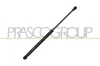 Gasfeder, Koffer-/Laderaum hinten links hinten rechts PRASCO DW3249055