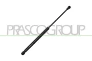 Gasfeder, Koffer-/Laderaum hinten links hinten rechts PRASCO DW3249055
