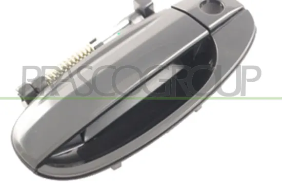 Türaußengriff außen vorne links PRASCO DW3268008 Bild Türaußengriff außen vorne links PRASCO DW3268008