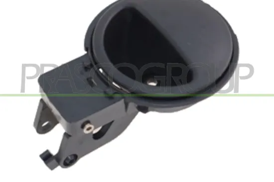 Türgriff, Innenausstattung innen hinten links vorne links PRASCO DW3268602 Bild Türgriff, Innenausstattung innen hinten links vorne links PRASCO DW3268602