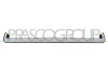 Zier-/Schutzleiste, Kühlergitter PRASCO DW3272206