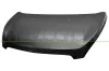 Motorhaube PRASCO DW3403100
