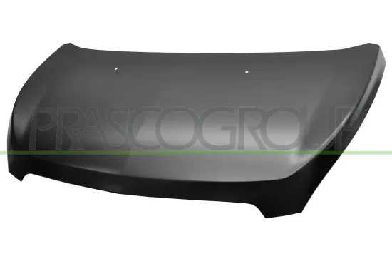 Motorhaube PRASCO DW3403100 Bild Motorhaube PRASCO DW3403100