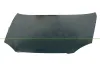 Motorhaube PRASCO DW4103100