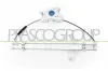 Fensterheber vorne links PRASCO DW720W024