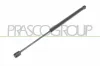 Gasfeder, Koffer-/Laderaum beidseitig PRASCO FD0069055