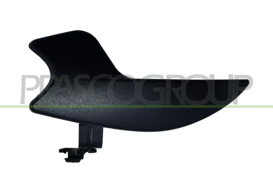 Türaußengriff innen vorne links PRASCO FD0088402 Bild Türaußengriff innen vorne links PRASCO FD0088402