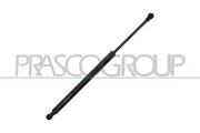Gasfeder, Koffer-/Laderaum hinten links hinten rechts PRASCO FD0089055