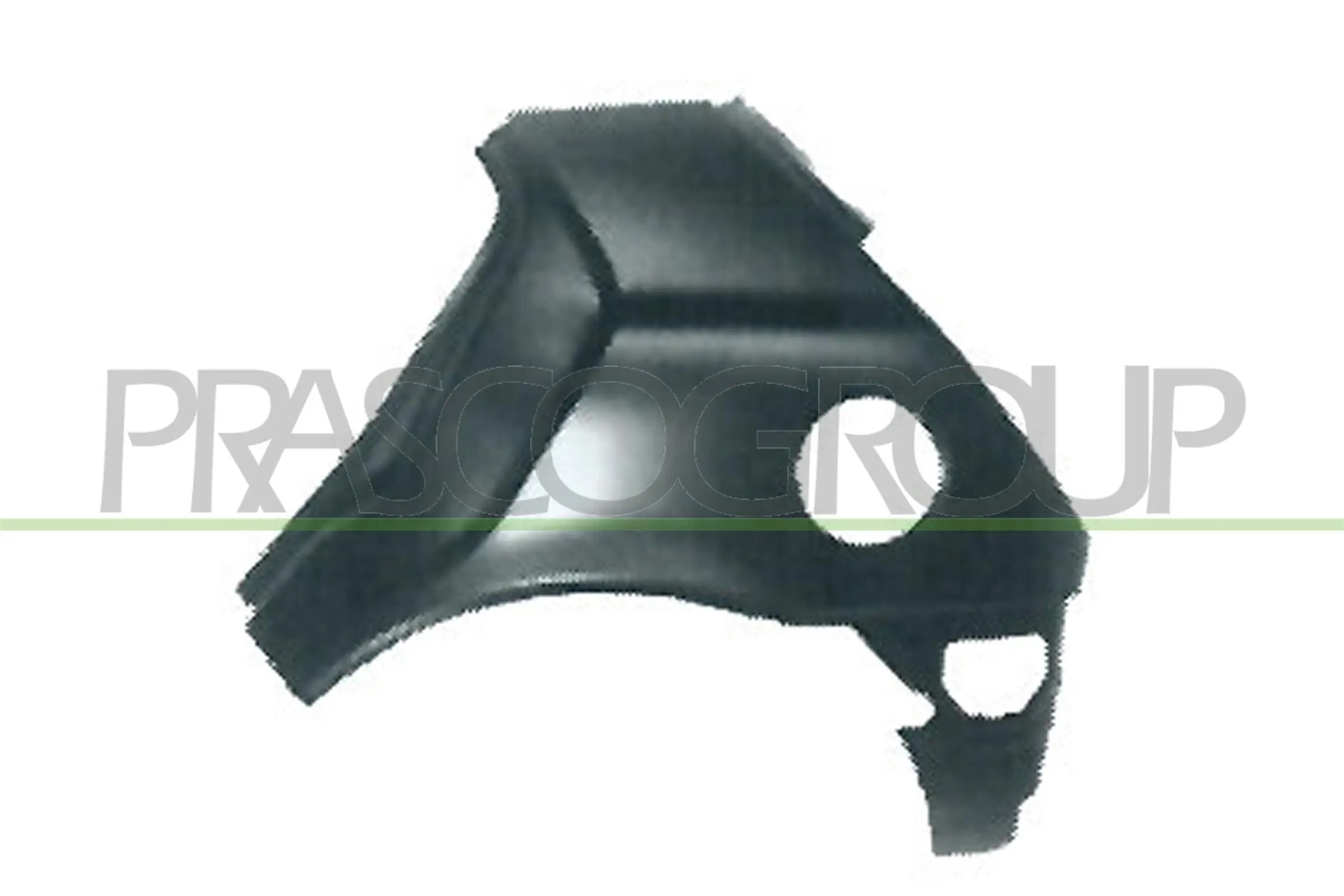 Seitenwand hinten links PRASCO FD0503064