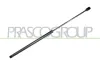 Gasfeder, Koffer-/Laderaum hinten links hinten rechts PRASCO FD0509055
