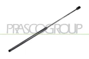Gasfeder, Koffer-/Laderaum hinten links hinten rechts PRASCO FD0509055
