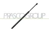 Gasfeder, Koffer-/Laderaum hinten links hinten rechts PRASCO FD0799055