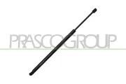 Gasfeder, Koffer-/Laderaum hinten links hinten rechts PRASCO FD0799055