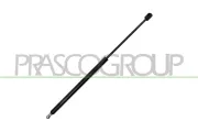 Gasfeder, Koffer-/Laderaum hinten links hinten rechts PRASCO FD1129055