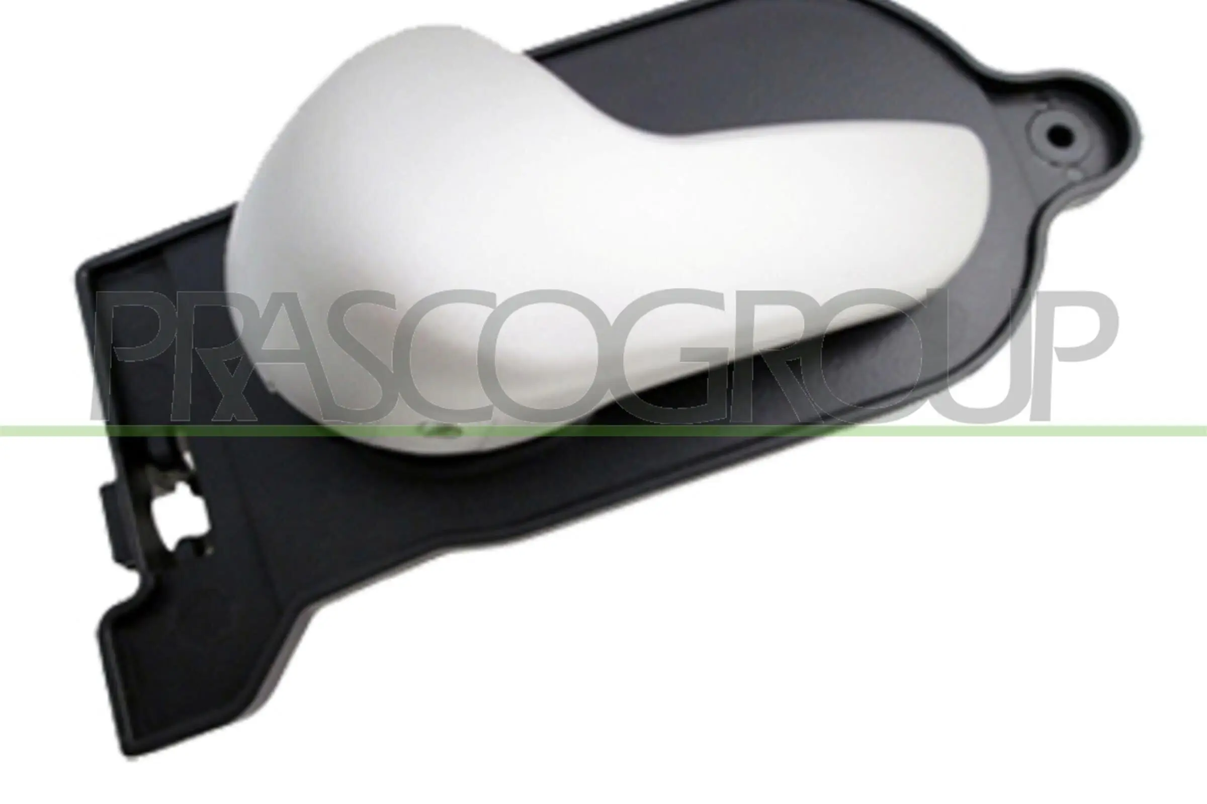 Türgriff, Innenausstattung hinten links vorne links PRASCO FD3408608