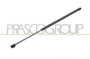 Gasfeder, Koffer-/Laderaum hinten links hinten rechts PRASCO FD3409055