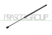 Gasfeder, Koffer-/Laderaum hinten links hinten rechts PRASCO FD3409055