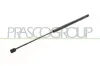 Gasfeder, Koffer-/Laderaum hinten links hinten rechts PRASCO FD3409065
