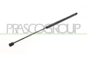 Gasfeder, Koffer-/Laderaum hinten links hinten rechts PRASCO FD3409065