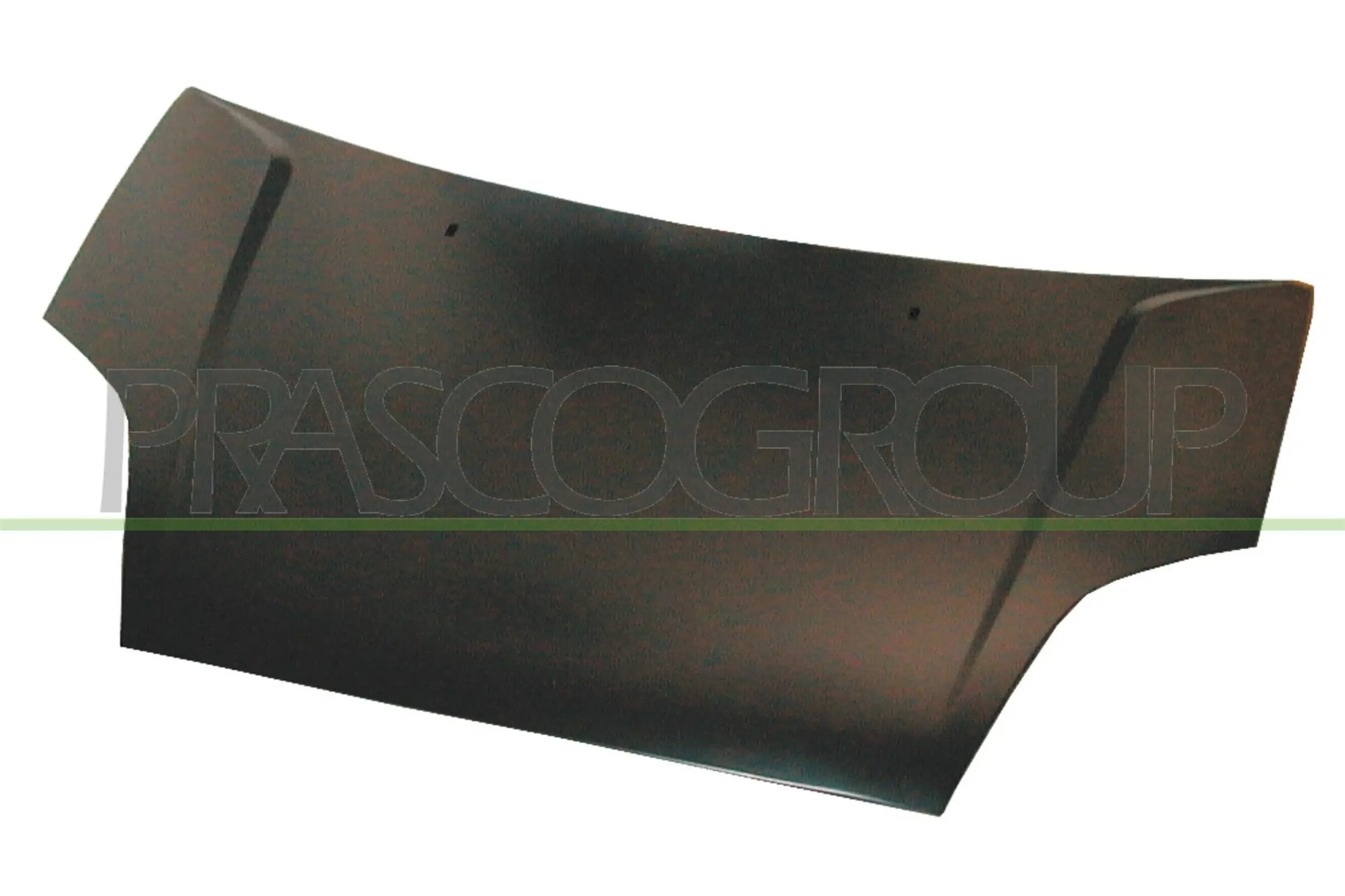 Motorhaube PRASCO FD3423130