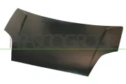 Motorhaube PRASCO FD3423130