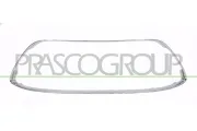 Zier-/Schutzleiste, Kühlergitter PRASCO FD3442315