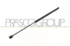 Gasfeder, Koffer-/Laderaum hinten links hinten rechts PRASCO FD3449055