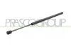 Gasfeder, Koffer-/Laderaum hinten links hinten rechts PRASCO FD4209065