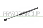 Gasfeder, Koffer-/Laderaum hinten links hinten rechts PRASCO FD4209065