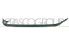 Spoiler hinten PRASCO FD4241851