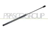 Gasfeder, Koffer-/Laderaum hinten links hinten rechts PRASCO FD4269055