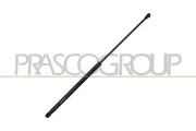 Gasfeder, Koffer-/Laderaum hinten links hinten rechts PRASCO FD4269065