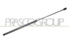 Gasfeder, Koffer-/Laderaum hinten links hinten rechts PRASCO FD4289055