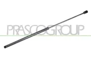 Gasfeder, Koffer-/Laderaum hinten links hinten rechts PRASCO FD4289055