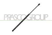 Gasfeder, Koffer-/Laderaum hinten links hinten rechts PRASCO FD4289065