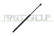 Gasfeder, Koffer-/Laderaum hinten links hinten rechts PRASCO FD6029055