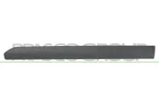 Zier-/Schutzleiste, Tür vorne links PRASCO FD6401404