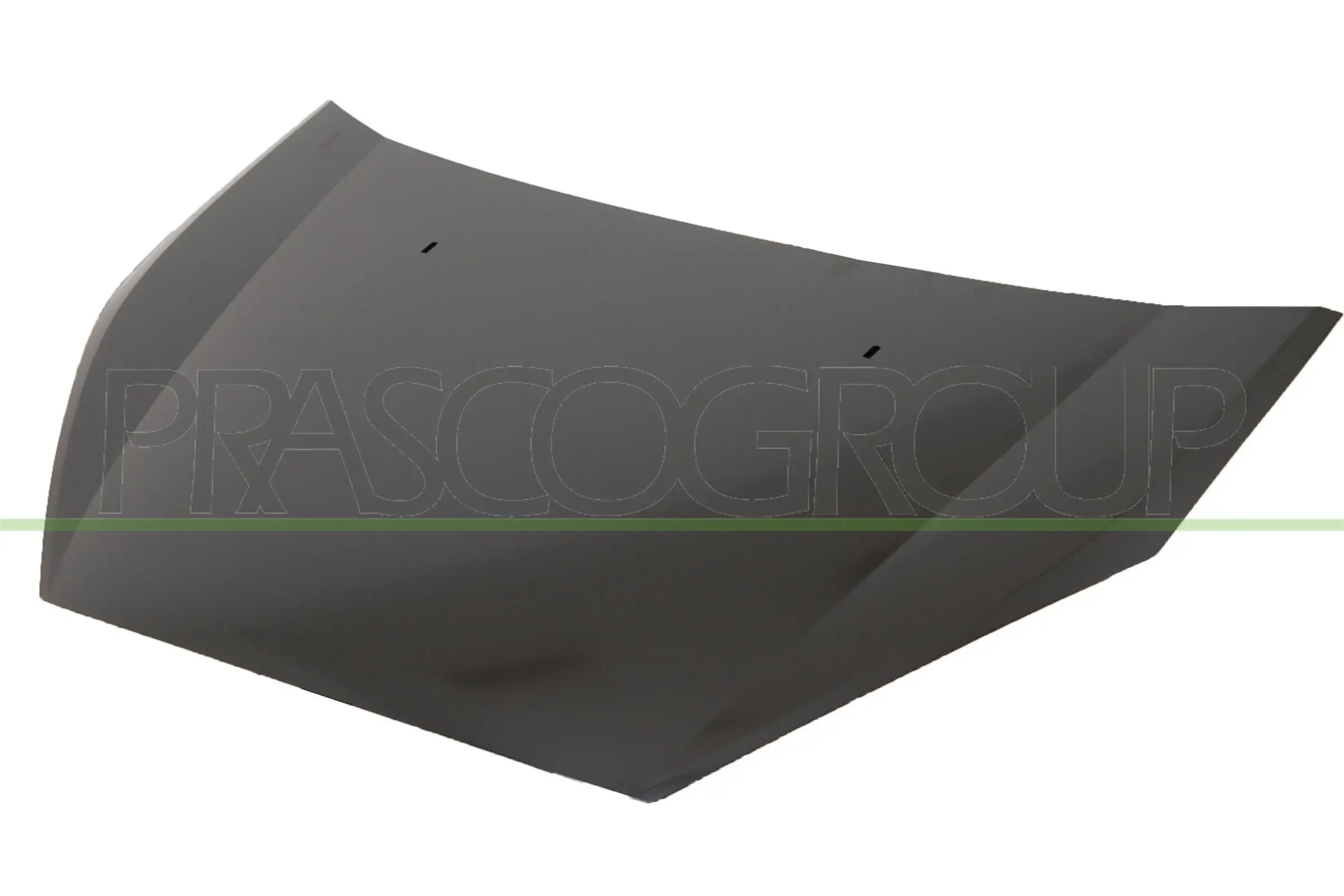 Motorhaube PRASCO FD7303100