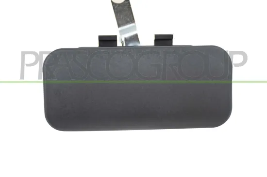 Türaußengriff vorne links PRASCO FD9108002 Bild Türaußengriff vorne links PRASCO FD9108002